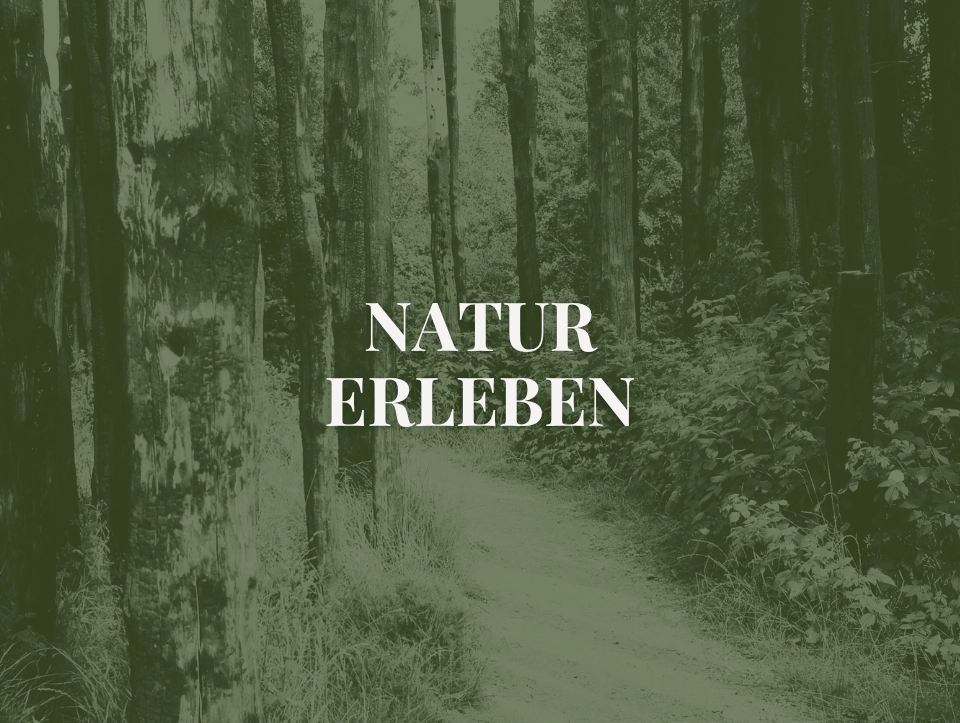 Natur erleben Natur rund um den Resslerhof erleben.